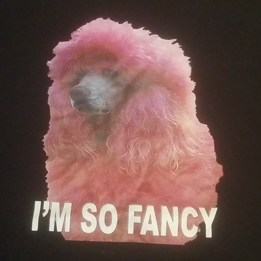 Fancy T shirt